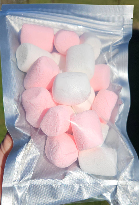 Freeze dried Marshmallows.  Pick up only